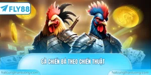 Gà chiến đá theo chiến thuật