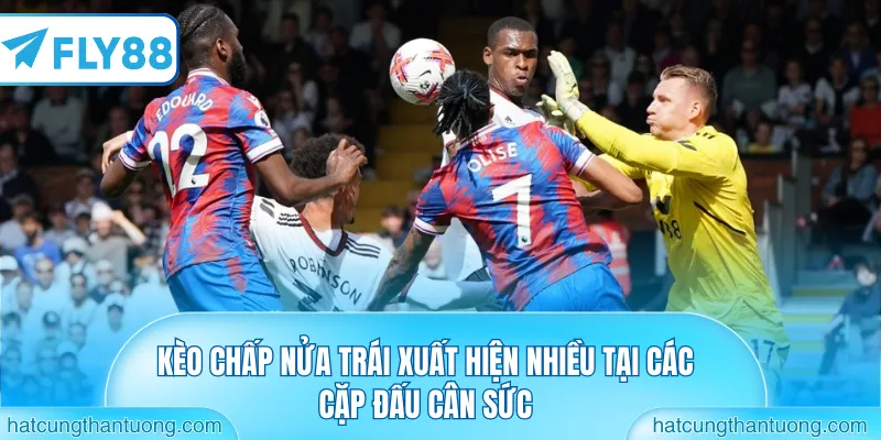 Kèo chấp nửa trái xuất hiện nhiều tại các cặp đấu cân sức